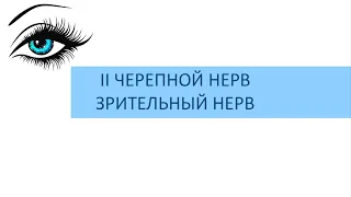 Самые быстрые гайды по неврологии - Зрительный нерв