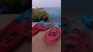 kayak/sea/beach/mangroves/pedal boat/kayaking/sand/al mugheirah/mirfa/marfa/aldhafra/abudhabi/uae