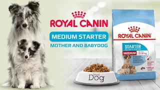 Сухой корм Royal Canin Medium Starter для кормящих собак