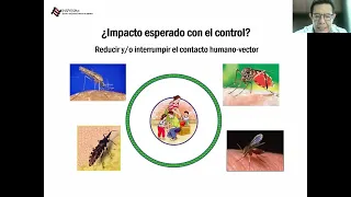 Ciclo VC-ESPM: Prevención y Control de Enfermedades Transmitidas por Vector