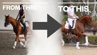 A DIFFERENT WAY TO GET YOUR HORSE ON THE BIT! (WAIT TILL YOU TRY THIS!)