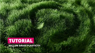 Tutorial: Vellum Grass (Basic Plasticity)