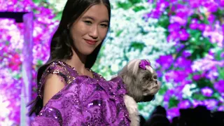 Anthony Rubio, LAFW, 2022, The Majestic Downtown, Canine Couture, Pet Fashion, Fashion Week