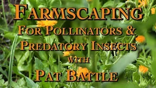 Farmscaping for Pollinators & Predatory Insects