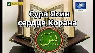 ПОДПИШИСЬ🔔 НА КАНАЛ ЯСИН ДЖУМА  #ПЯТНЦА