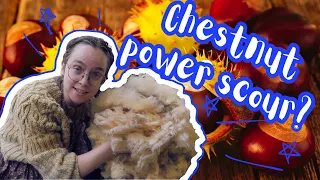 Making Soap out of Horse Chestnuts: Will it Scour Sheep Wool? (Plus some bonus Natural Dyeing)