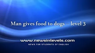 Man gives food to dogs – level 3