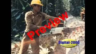 Chainsaw Safety Video from SafetyVideos.com