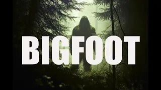 Top 6 MOST Convincing BIGFOOT Footage!