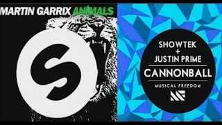 Martin Garrix   Animals Symphonic Edi × Showtek & Justin Prime   Cannonball　mash up