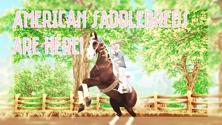 Monthly Video + Buying an American Saddlebred! // Keira Purpleclover