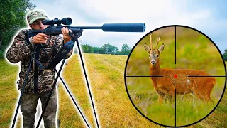 Chasser le Chevreuil à la Carabine ! [Chasser-Cuisiner-Manger]