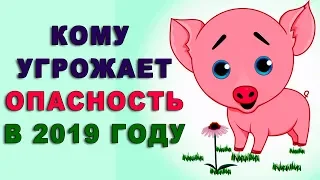 Гороскоп на 2019 год. КОМУ УГРОЖАЕТ ОПАСНОСТЬ в 2019 году? Чем опасен 2019 год Желтой Свиньи?