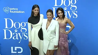 EVENT CAPSULE CLEAN - at the 'Dog Days' World Premiere