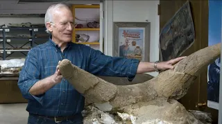 10,000+ Dinosaurs Buried in Wyoming During Noah's Flood - Dr. Arthur Chadwick