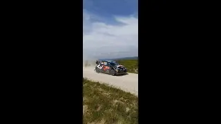 WRC Vodafone Rally de Portugal 2024 | Top Speed | On the Limit