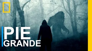 Documental de PIE GRANDE, Big foot, Entro al Bosque y encuentro a PIE GRANDE