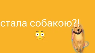 стала собакою?! 😳 частина 1