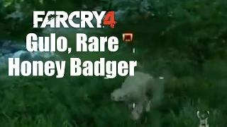 Far Cry 4 Kyrat Fashion Week: Gulo, Rare Honey Badger