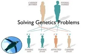 Solving Genetics Problems