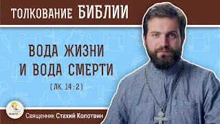 Вода жизни и вода смерти (Лк.14:2).  Священник Стахий Колотвин