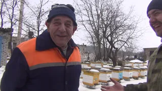 Основы хорошей зимовки пчелосемей. В  гостях у пчеловода с 70 летнем стажем пчеловождения.