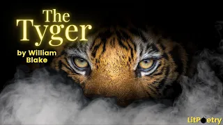 ''The Tyger' by William Blake (Poetry Analysis Video)