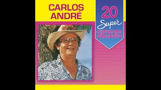 Carlos André - Se meu amor não chegar