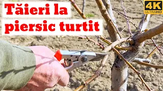 Taieri la piersic turtit (fructe turtite)