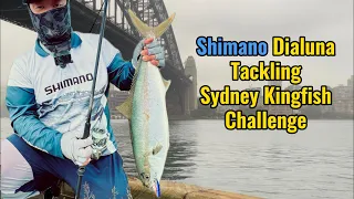 Sydney Kingfish shorejigging challenge with Shimano Dialuna