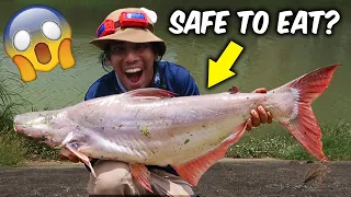 Caught a GIANT FISH In Marikina River - Philippines Fishing