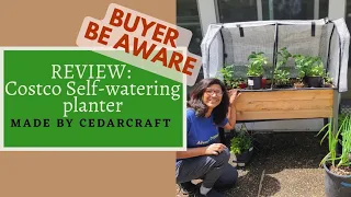 REVIEW: Costco Elevated Self watering planter (*not sponsored) #cedarcraft