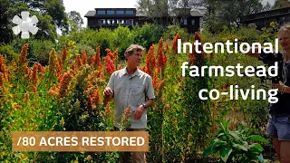 7 friends built restoration ecovillage. Outcome 50 years on