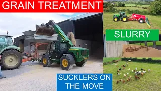 GRAIN TREATMENT- MOVING COWS - SLURRY