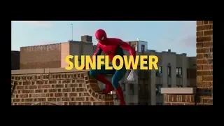 Spider-Man: Homecoming – Sunflower