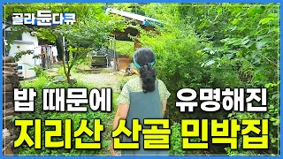 식당 하기 싫어서 세 끼만 차려주면 되는 민박집 차렸는데 제발 밥도 좀 팔라고 등 떠밀려 결국 밥장사까지 하게 된 지리산 민박집│지리산 산골 민박집│한국기행│#골라듄다큐