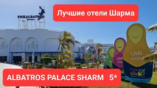 Оцените. Египет. Свежий обзор Март 2022. Последние новости. Albatros Palace Sharm #египет #альбатрос