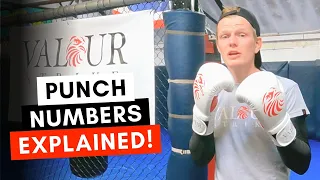 BOXING BASICS 🥊 Punch Numbers 1-6 🦅 Plus Boxing Tip