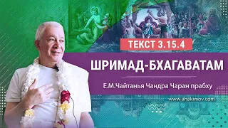 29/06/2023 Шримад-Бхагаватам 3.15.4. Е.М. Чайтанья Чандра Чаран прабху. Бердский фестиваль