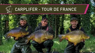 French Carp Fishing - Tour De France