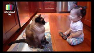 Cute Baby Talking To Her Siamese Cat | Funny Baby Video