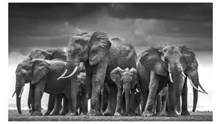 David Yarrow Reveals his Photography Secrets - YouPic Inspiration for photographers