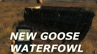 New Goose Waterfowl Blind Thehunter Classic 2020 1440p