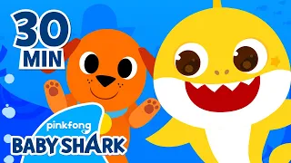 Baby Shark and Animal Songs | +Compilation | Baby Shark Songs | Baby Shark Official