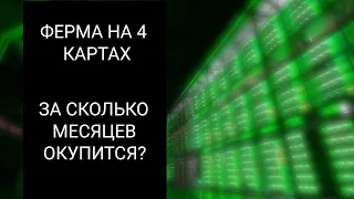 Майнинг уже не выгоден? Сколько окупаемость фермы из 4 карт? ?