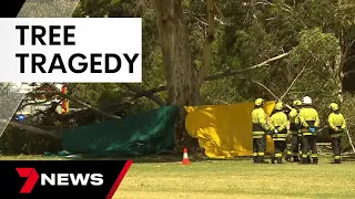 Young women sitting under tree crushed to death at North Adelaide | 7 News Australia