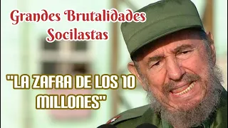 Grandes Brutalidades Socialistas # 2. La Zafra de los 10 Millones.