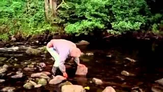 Andy Goldsworthy Documentary   Rivers and Tides의 사본