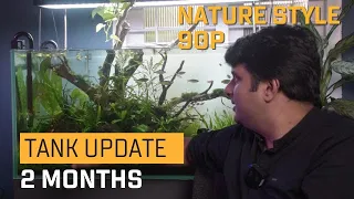 90p Nature Style Aquascape Update | 2 months Tamil