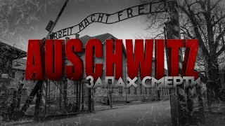 Auschwitz. Освенцим. Лагерь смерти. ЭТО НУЖНО ЗНАТЬ!